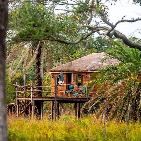 Mansa Musso Lodge Sanyang Kültér fotó