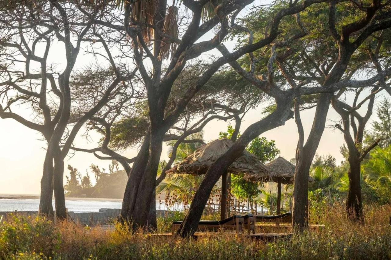 Mansa Musso Lodge Sanyang Kültér fotó