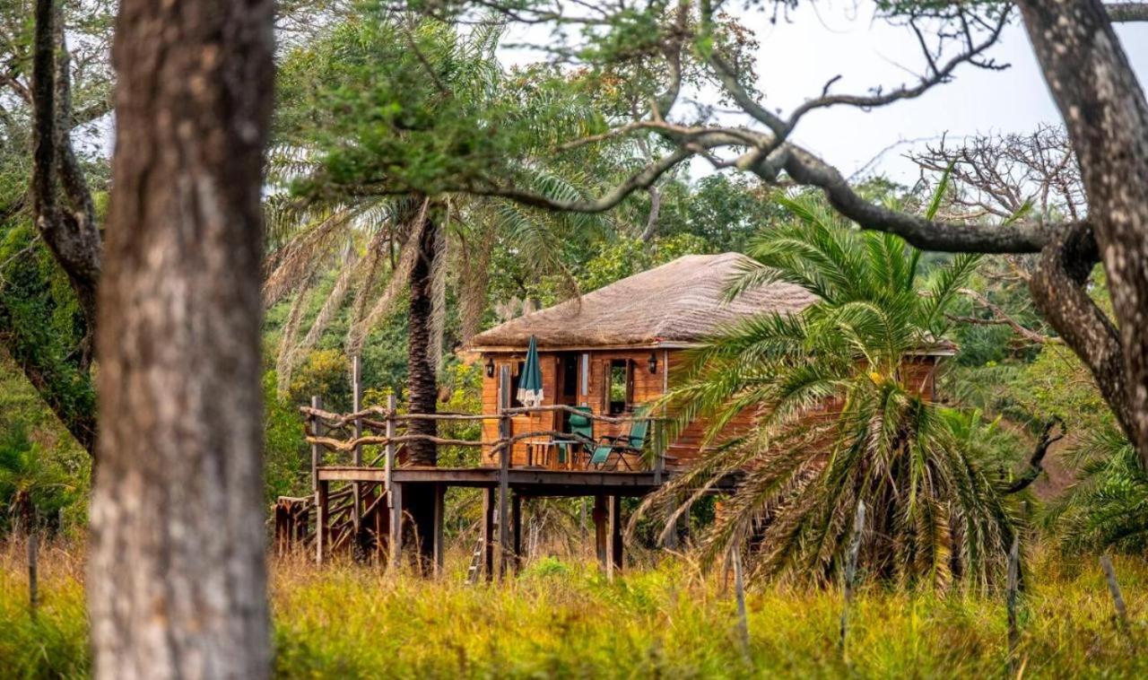 Mansa Musso Lodge Sanyang Kültér fotó
